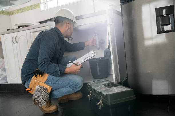 Best Shower Repair Services  in Fish Hawk, FL