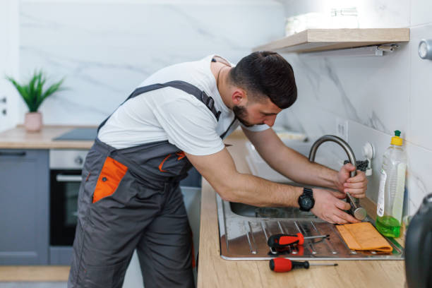 Best Local Plumber Services  in Fish Hawk, FL