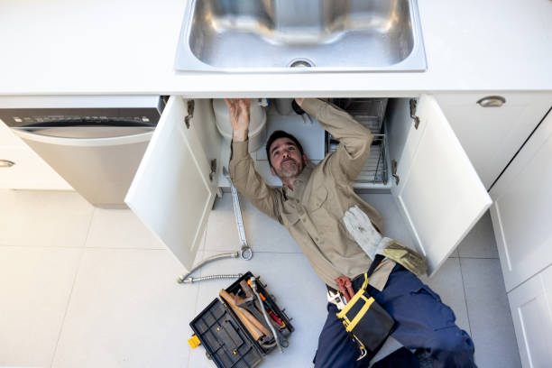 Best Commercial Plumbing Services  in Fish Hawk, FL