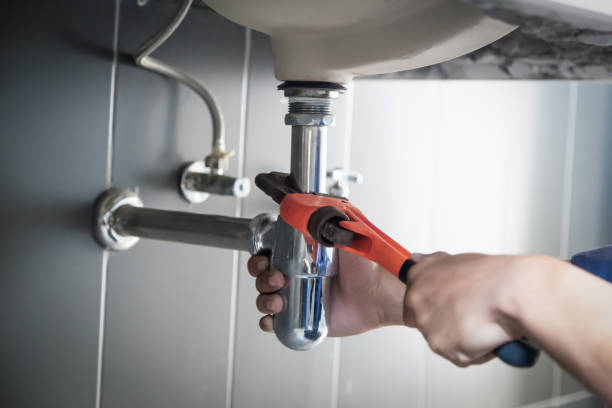 Best Plumbing Services Near Me  in Fish Hawk, FL